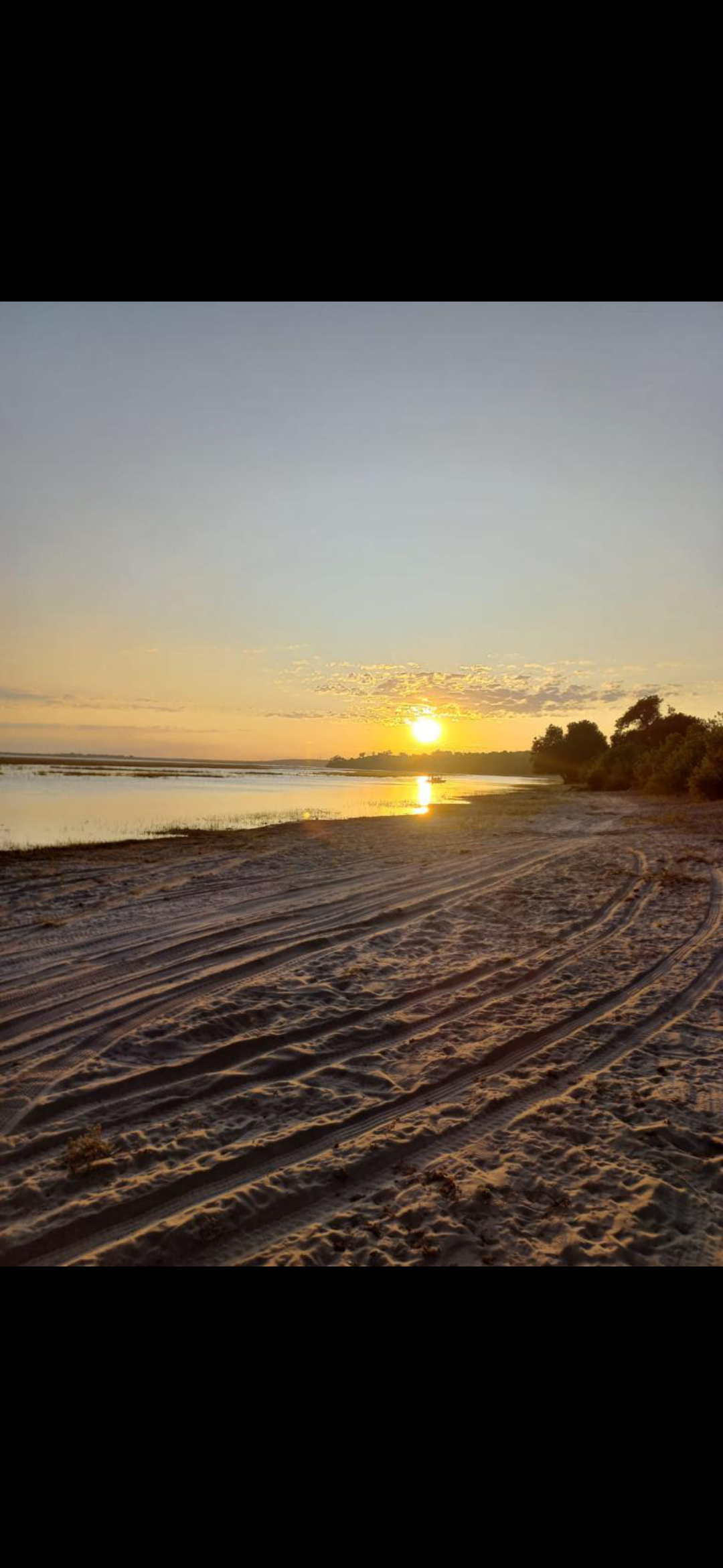 Profile picture of Palesa Khuele