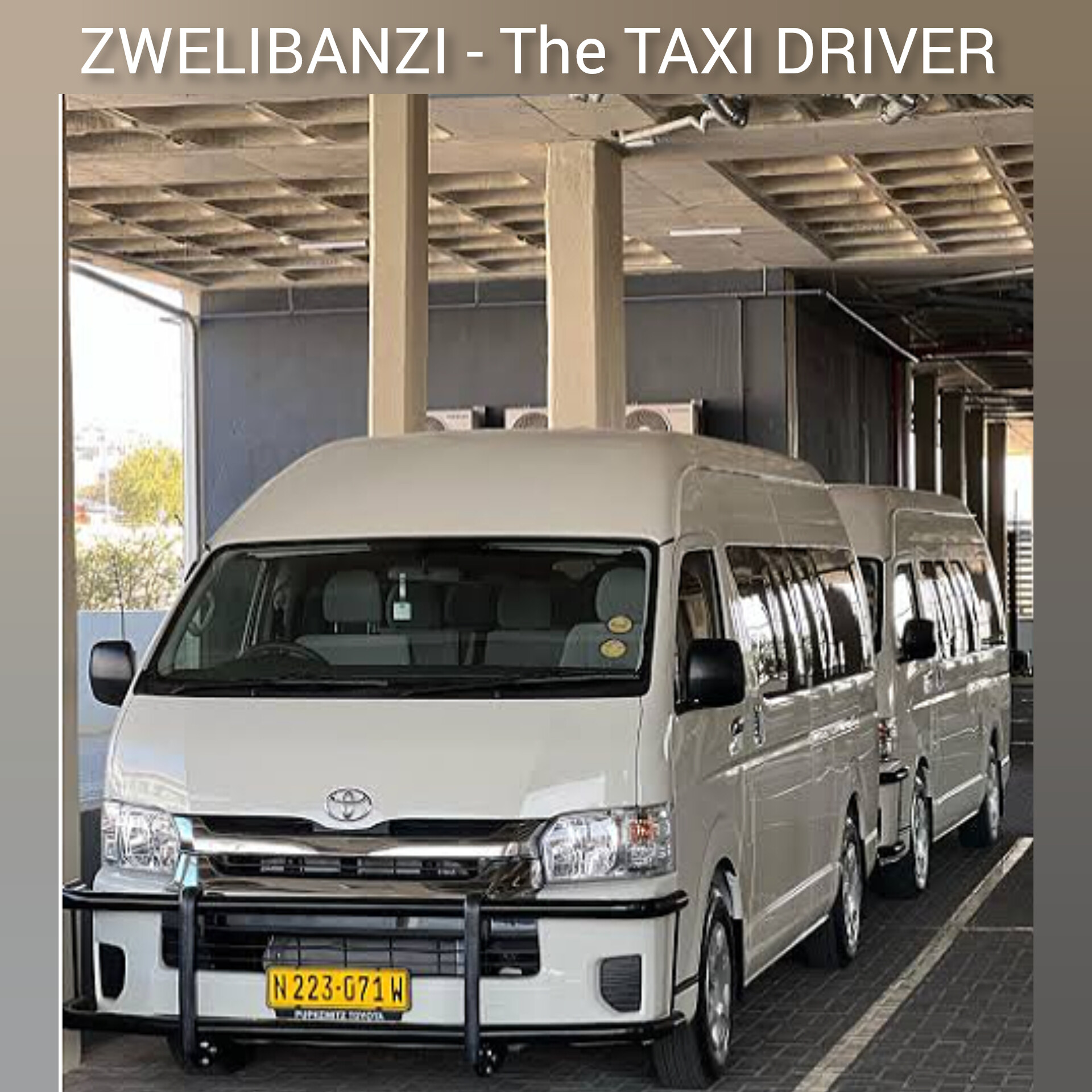 Cover of ZWELIBANZI - THE TAXI DRIVER