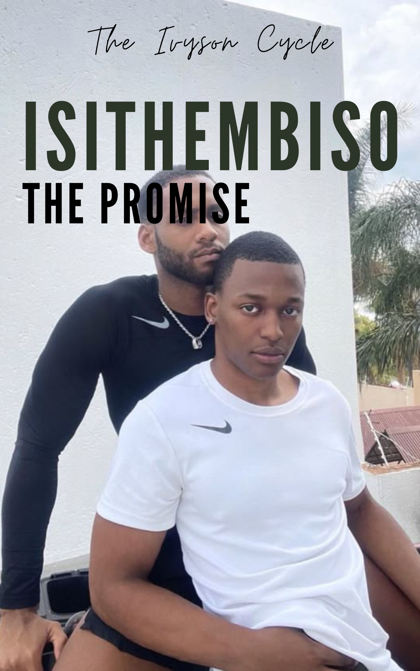 The Promise cover