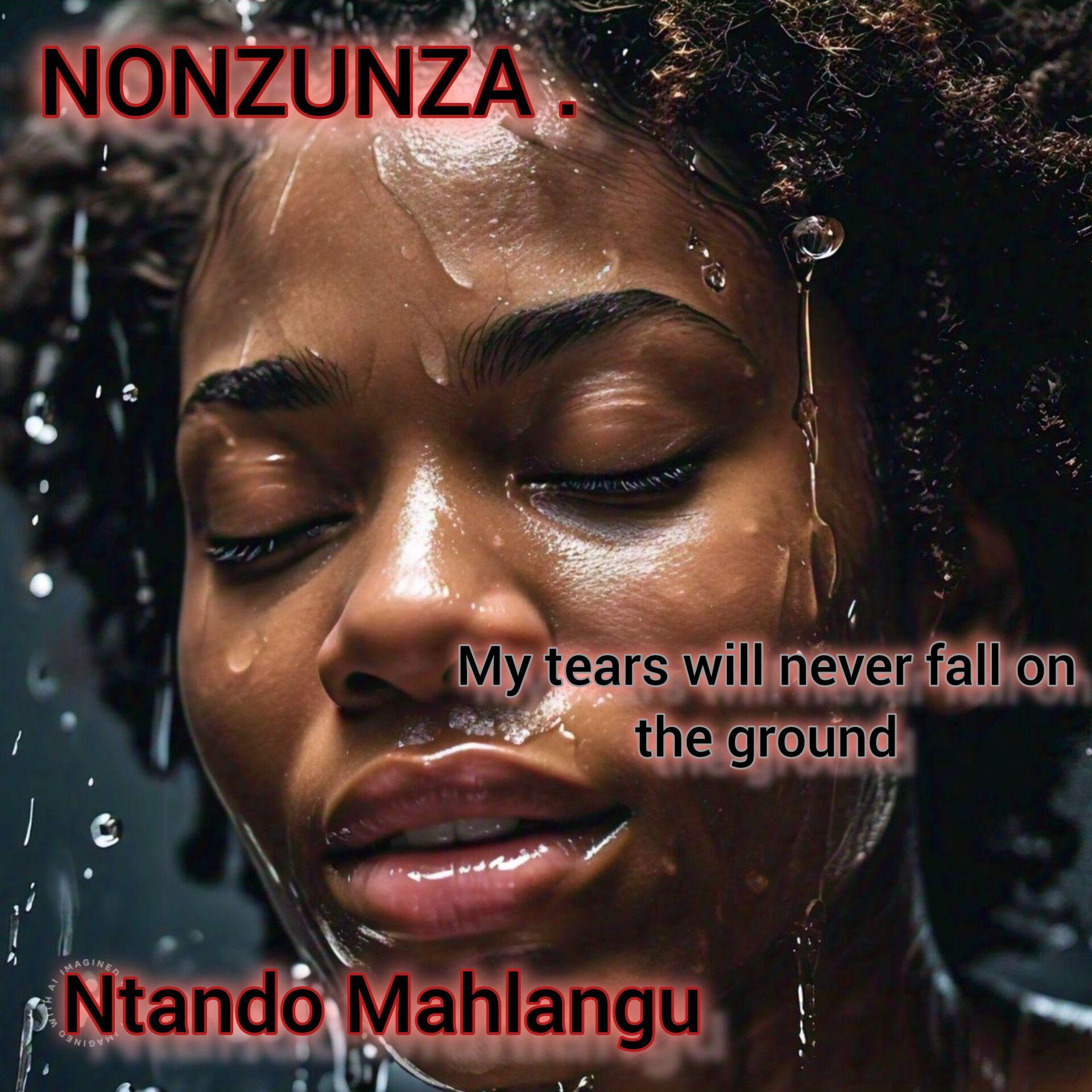 Cover of NONZUNZA