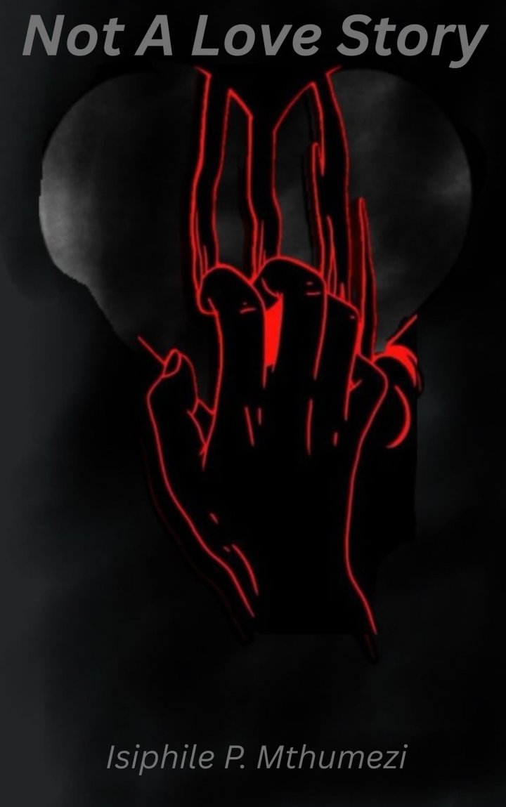 Not A Love Story Cover