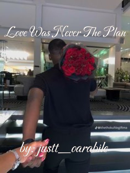Love Was Never The Plan