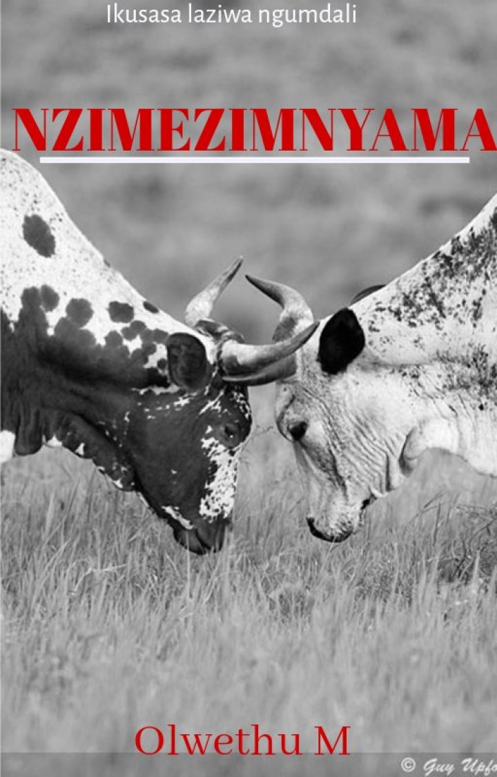 NZIMEZIMNYAMA cover