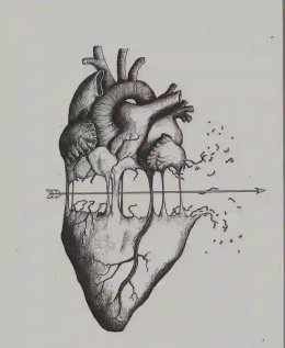 A Broken Promise