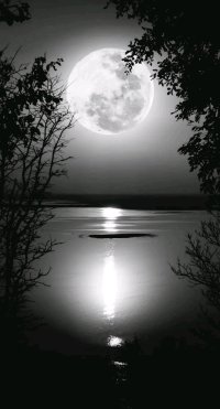 When two worlds collide