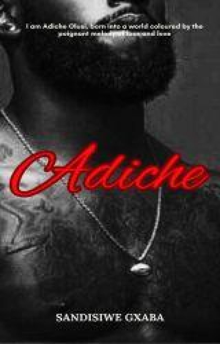 Adiche Cover