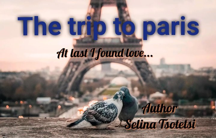 The trip to paris Cover