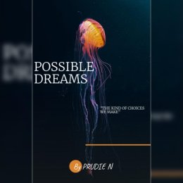 Possible Dreams